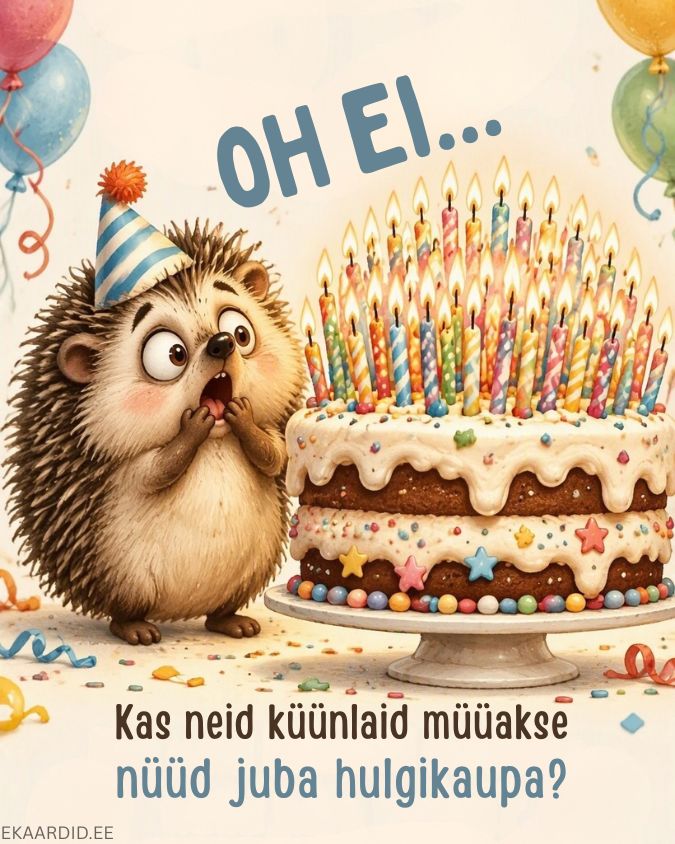 Humoorikas sünnipäevakaart ehmatanud siiliga