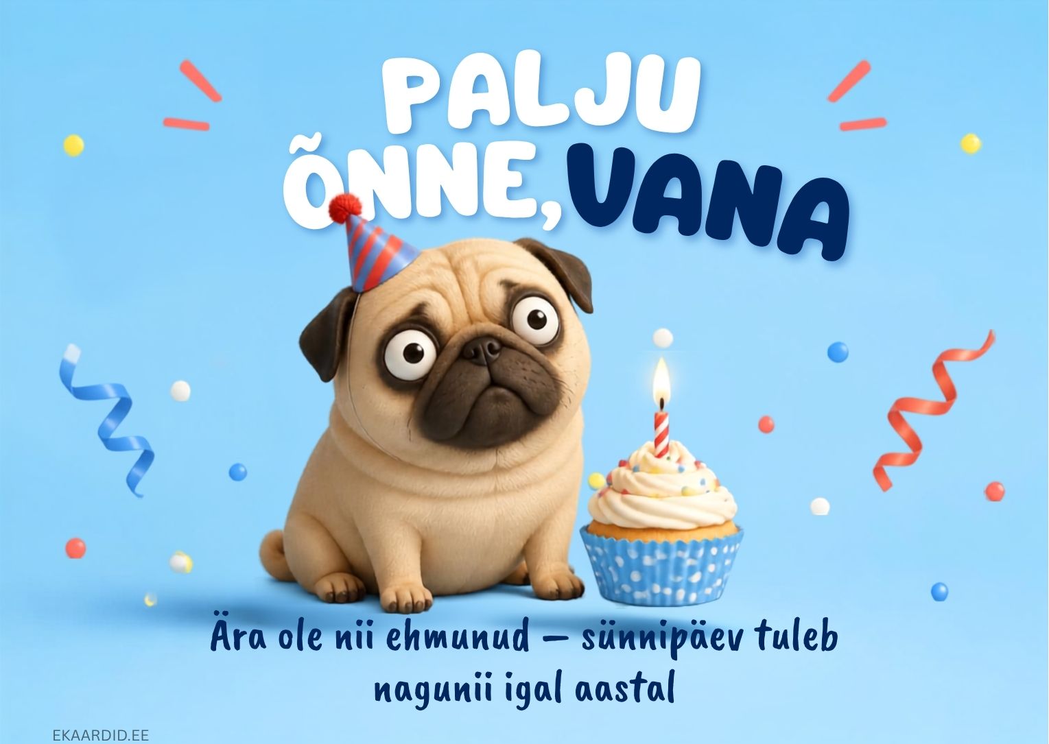 Humoorikas sünnipäevakaart ehmunud mopsiga