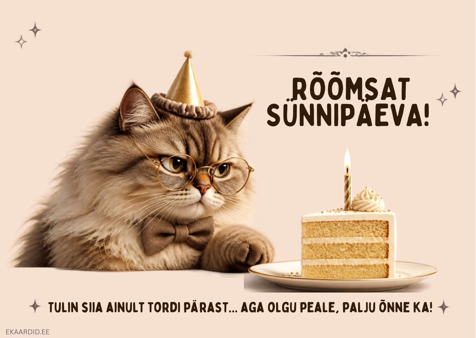 Humoorikas sünnipäevakaart prillidega kassiga