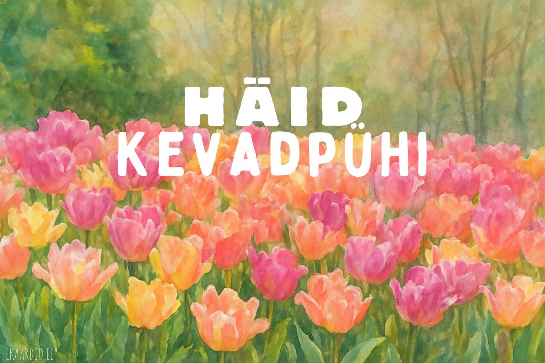 Akvarell-stiilis tulbid: Häid kevadpühi!