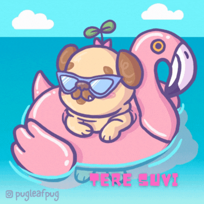 Suvine GIF tere suvi -mopskoeraga